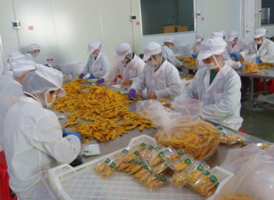 龍海市正豐食品的崛起之路 打造食品行業(yè)的名牌產(chǎn)品